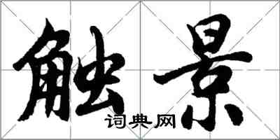 胡問遂觸景行書怎么寫