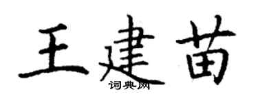 丁謙王建苗楷書個性簽名怎么寫