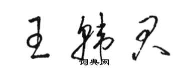 駱恆光王韓君草書個性簽名怎么寫