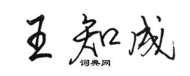 駱恆光王知成行書個性簽名怎么寫