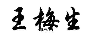 胡問遂王梅生行書個性簽名怎么寫