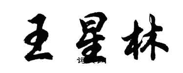 胡問遂王星林行書個性簽名怎么寫