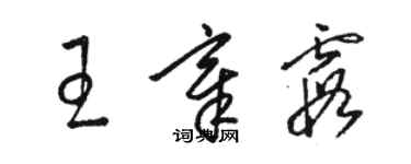 駱恆光王章霞草書個性簽名怎么寫