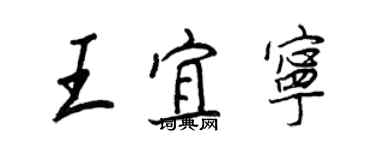 王正良王宜寧行書個性簽名怎么寫