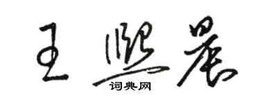 駱恆光王熙晨草書個性簽名怎么寫