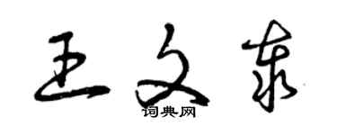 曾慶福王文泰草書個性簽名怎么寫