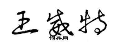 曾慶福王威特草書個性簽名怎么寫