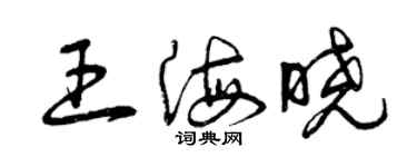 曾慶福王海曉草書個性簽名怎么寫