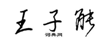 王正良王子能行書個性簽名怎么寫