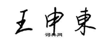 王正良王申東行書個性簽名怎么寫