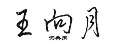 駱恆光王向月行書個性簽名怎么寫