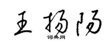 梁錦英王揚陽草書個性簽名怎么寫