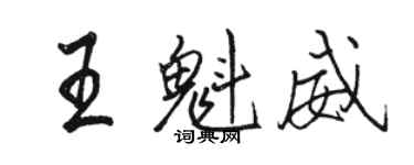 駱恆光王魁威行書個性簽名怎么寫