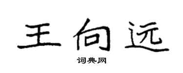 袁強王向遠楷書個性簽名怎么寫