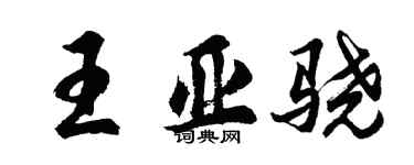 胡問遂王亞驍行書個性簽名怎么寫