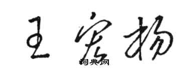 駱恆光王宏楊草書個性簽名怎么寫