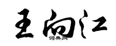 胡問遂王向江行書個性簽名怎么寫