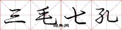 龐中華三毛七孔行書怎么寫