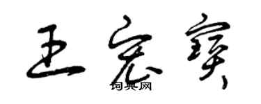 曾慶福王宏寶草書個性簽名怎么寫