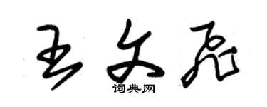 朱錫榮王文飛草書個性簽名怎么寫