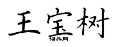 丁謙王寶樹楷書個性簽名怎么寫