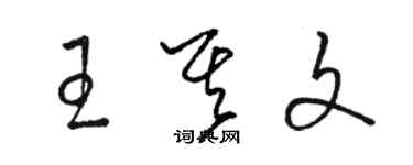 駱恆光王其文草書個性簽名怎么寫