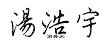 王正良湯浩宇行書個性簽名怎么寫