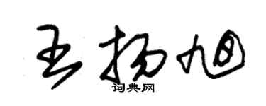朱錫榮王揚旭草書個性簽名怎么寫