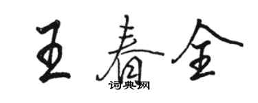 駱恆光王春全行書個性簽名怎么寫