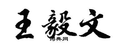 胡問遂王毅文行書個性簽名怎么寫