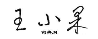 駱恆光王小果草書個性簽名怎么寫