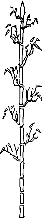 狼筅_狼筅介紹_歷史知識