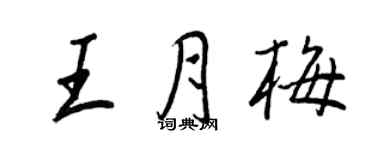 王正良王月梅行書個性簽名怎么寫