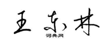 梁錦英王東林草書個性簽名怎么寫