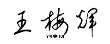 梁錦英王梅輝草書個性簽名怎么寫