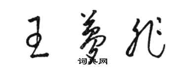 駱恆光王夢非草書個性簽名怎么寫