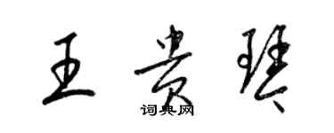 梁錦英王貴琴草書個性簽名怎么寫