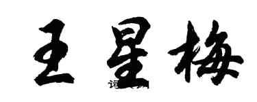 胡問遂王星梅行書個性簽名怎么寫