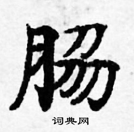 啟隸書書法_啟字書法_隸書字典