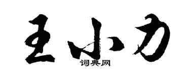 胡問遂王小力行書個性簽名怎么寫