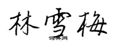 王正良林雪梅行書個性簽名怎么寫