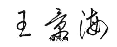 駱恆光王景海草書個性簽名怎么寫