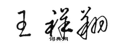 駱恆光王祥翔草書個性簽名怎么寫