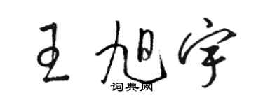 駱恆光王旭宇草書個性簽名怎么寫