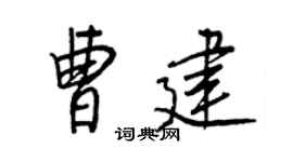王正良曹建行書個性簽名怎么寫