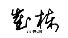 朱錫榮崔棟草書個性簽名怎么寫