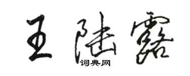 駱恆光王陸露行書個性簽名怎么寫