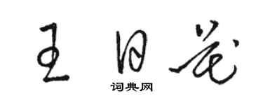 駱恆光王日花草書個性簽名怎么寫