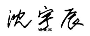 朱錫榮沈宇辰草書個性簽名怎么寫