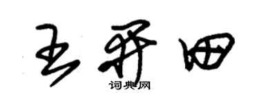 朱錫榮王開田草書個性簽名怎么寫